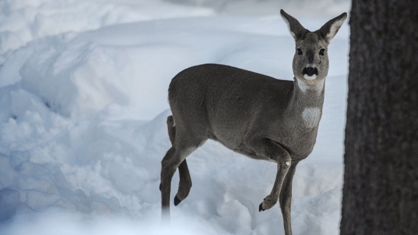 Тақырыптық гей порно