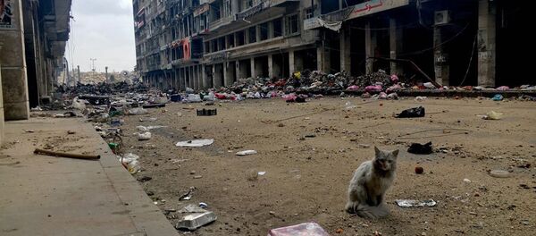 Сирийский город Алеппо - Sputnik Казахстан