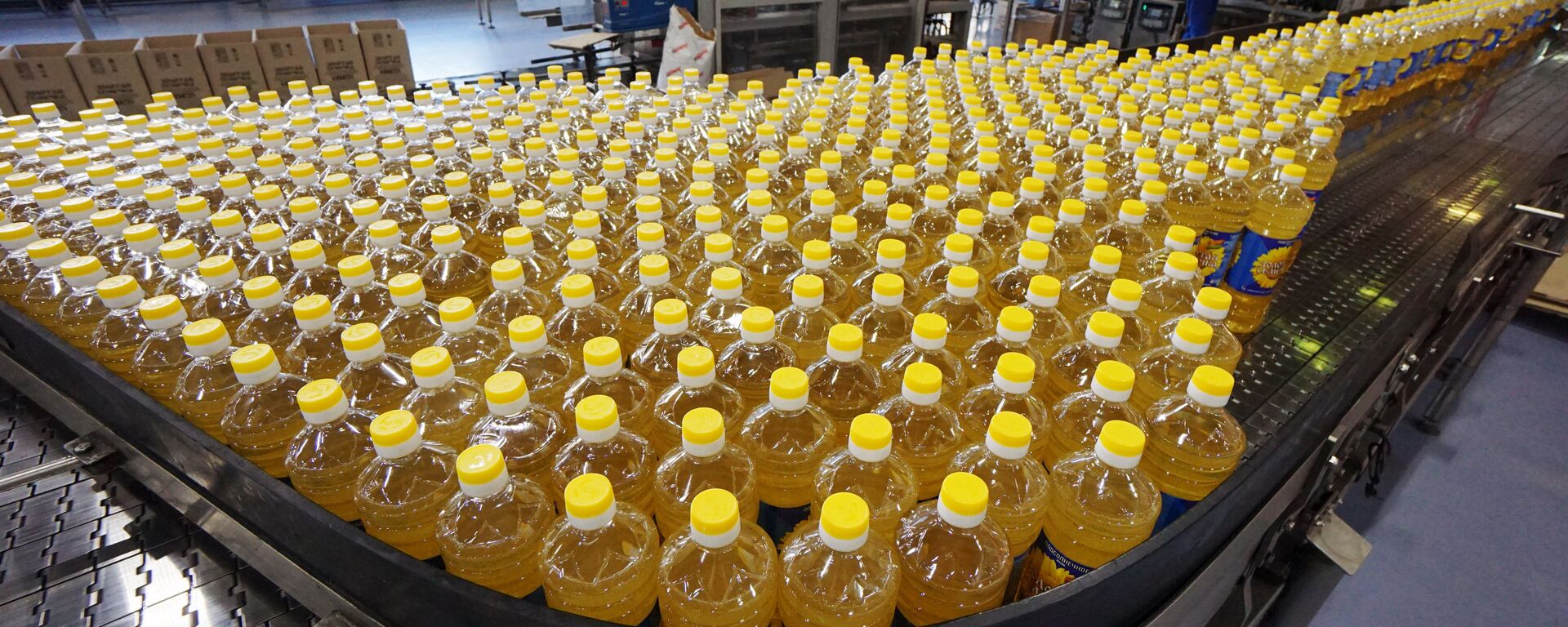 Подсолнечное масло - Sputnik Казахстан, 1920, 22.10.2025