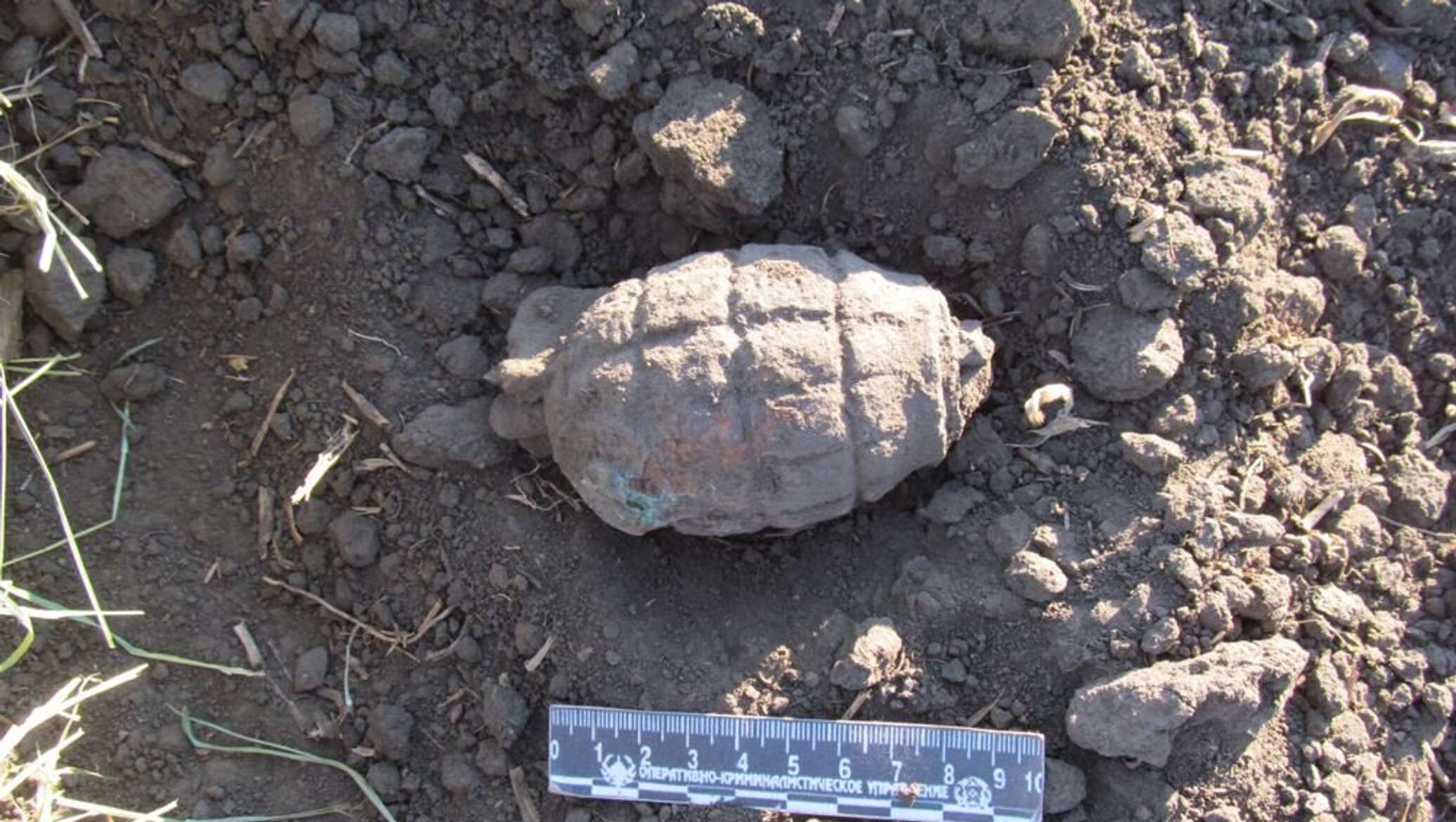 Село якорь. Гранаты на поле. Село якорь Северо Казахстанская область. Граната в поле.