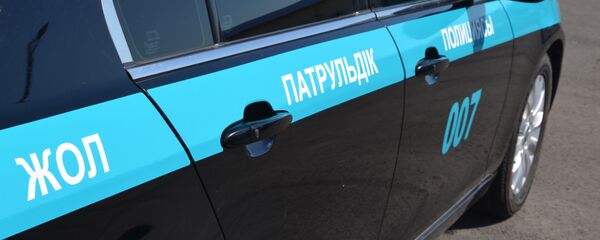 Дорожно-патрульная полиция - Sputnik Казахстан
