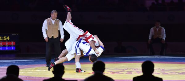 Архивное фото финала Қазақстан барысы - Sputnik Казахстан