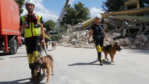 Спасатели с собаками после землетрясения в Италии - Sputnik Казахстан