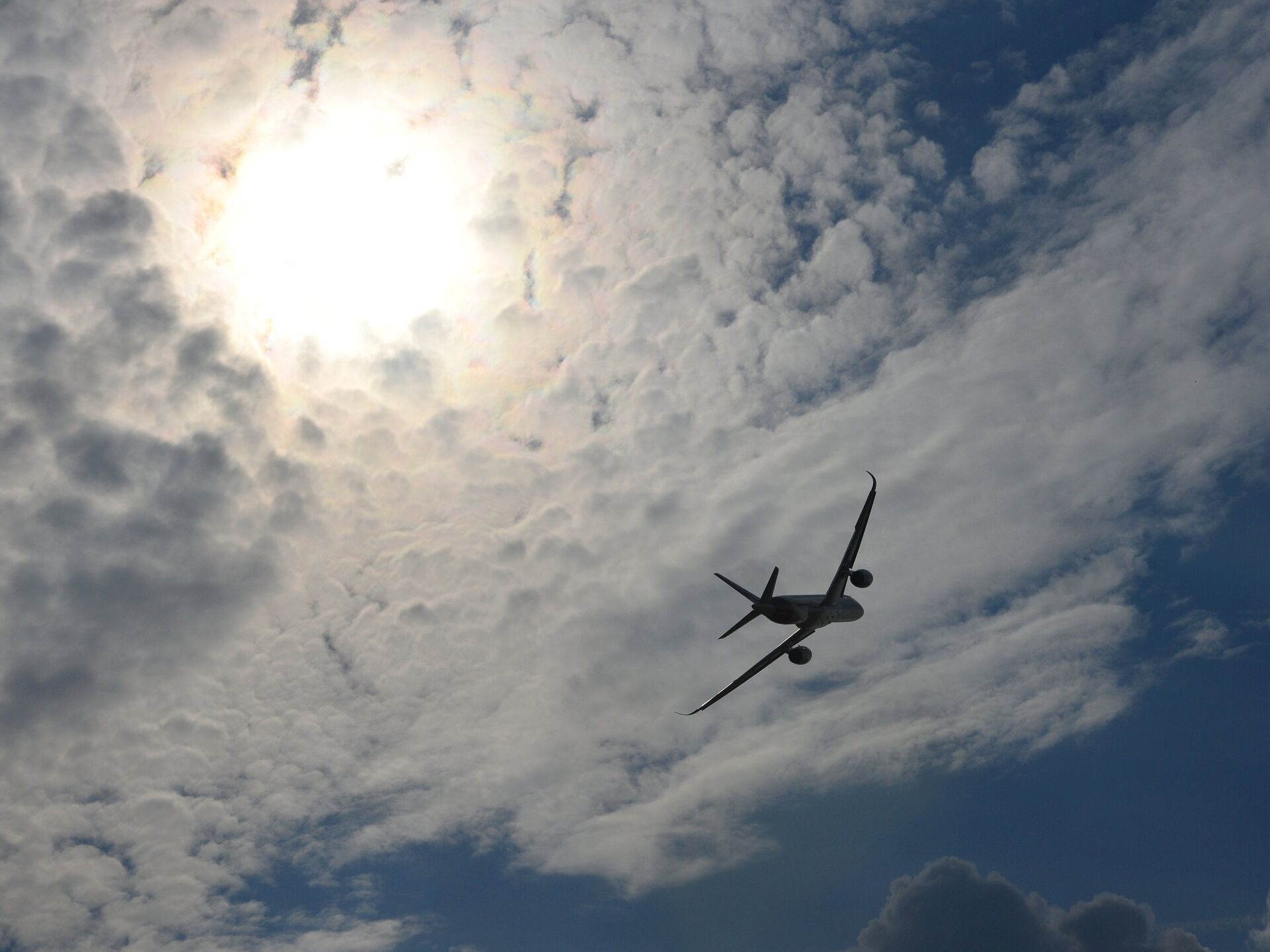 Два самолета в небе. Полеты над Крымом. Небо пальмы самолет. Самолёт в небе обведённый. Египет закрыл воздушное пространство