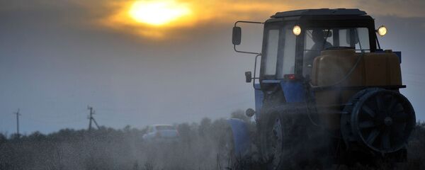 Трактор, архивное фото Трактор, архивное фото - Sputnik Казахстан