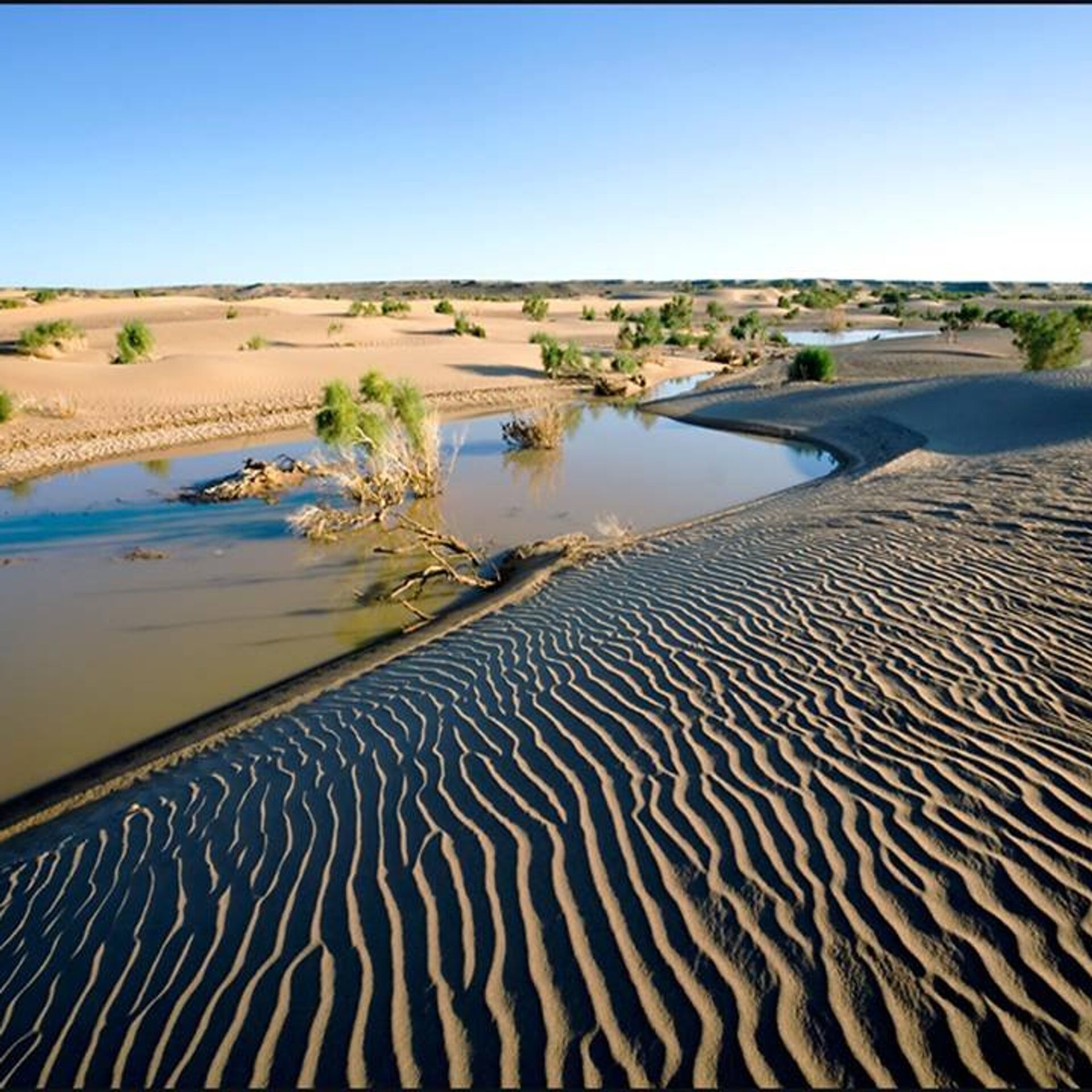 Река оазис. Репетек заповедники Туркменистана. Пустыня Каракум Оазис. Оазис Сива соленое озеро. Оазис Сива Египет соленое озеро.
