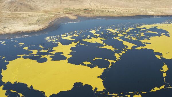 Разлив нефти. Архивное фото  - Sputnik Казахстан