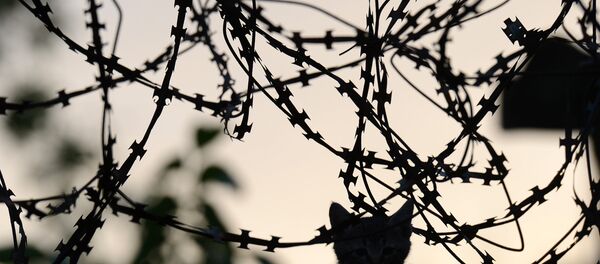 Колючая проволока Колючая проволока - Sputnik Казахстан