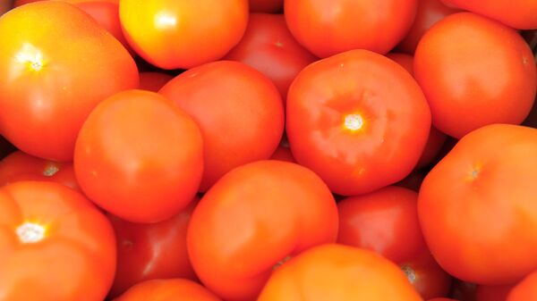 Помидоры - рекадр - Sputnik Казахстан