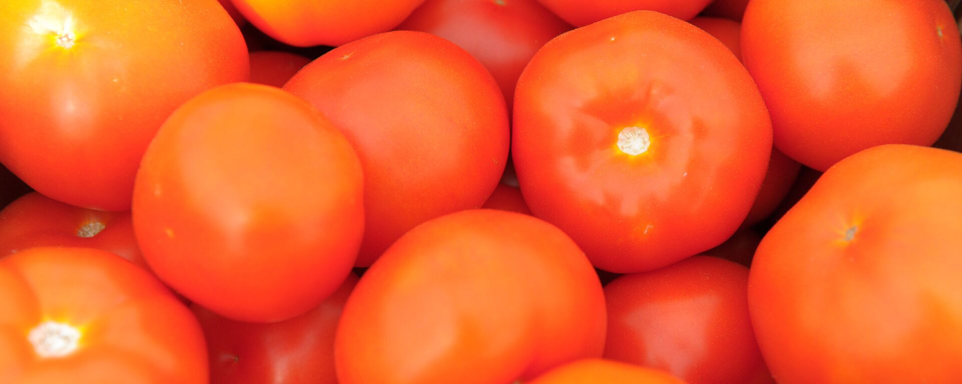 Қызанақ - Sputnik Қазақстан, 1920, 15.01.2026