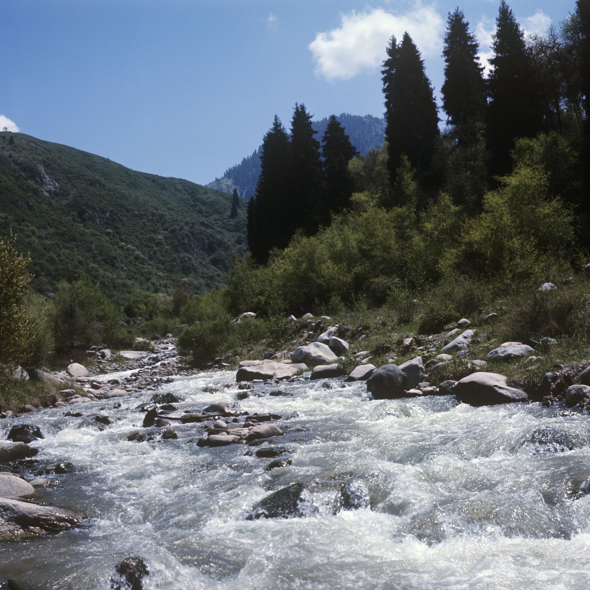 Река с сильным течением: особенности и советы для рыбалки