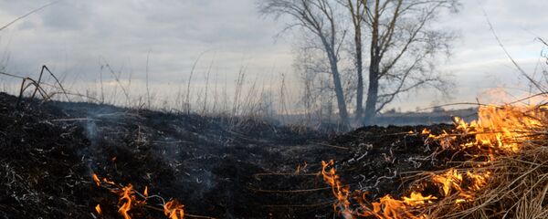 Горение сухой травы Горение сухой травы - Sputnik Казахстан