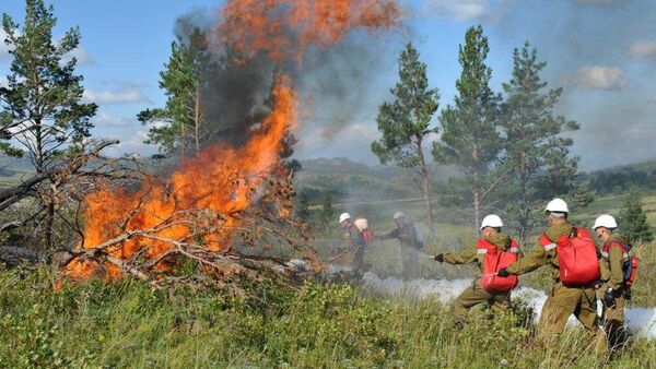 Лесной пожар - Sputnik Казахстан