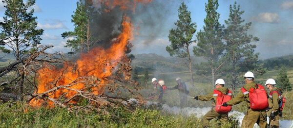 Лесной пожар - Sputnik Казахстан