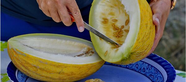 Дыня - Sputnik Казахстан