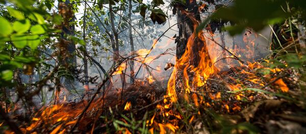 Өрт - Sputnik Қазақстан