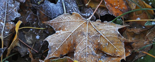 Осень. Архивное фото Осень. Архивное фото - Sputnik Казахстан