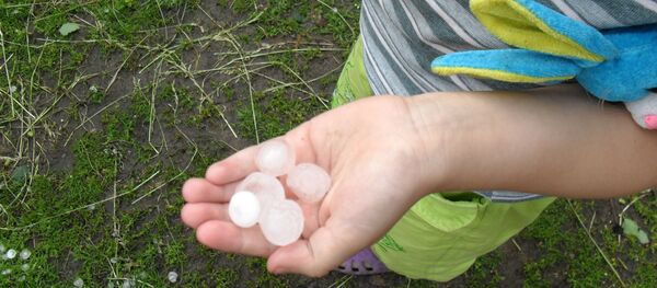 бұршақ бұршақ - Sputnik Қазақстан