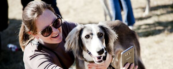 Первая республиканская выставка собак казахская тазы и первый республиканский смотр собак породы казахский тобет, посвященный 550 летию образования Казахского ханства. Первая республиканская выставка собак казахская тазы и первый республиканский смотр собак породы казахский тобет, посвященный 550 летию образования Казахского ханства. - Sputnik Казахстан