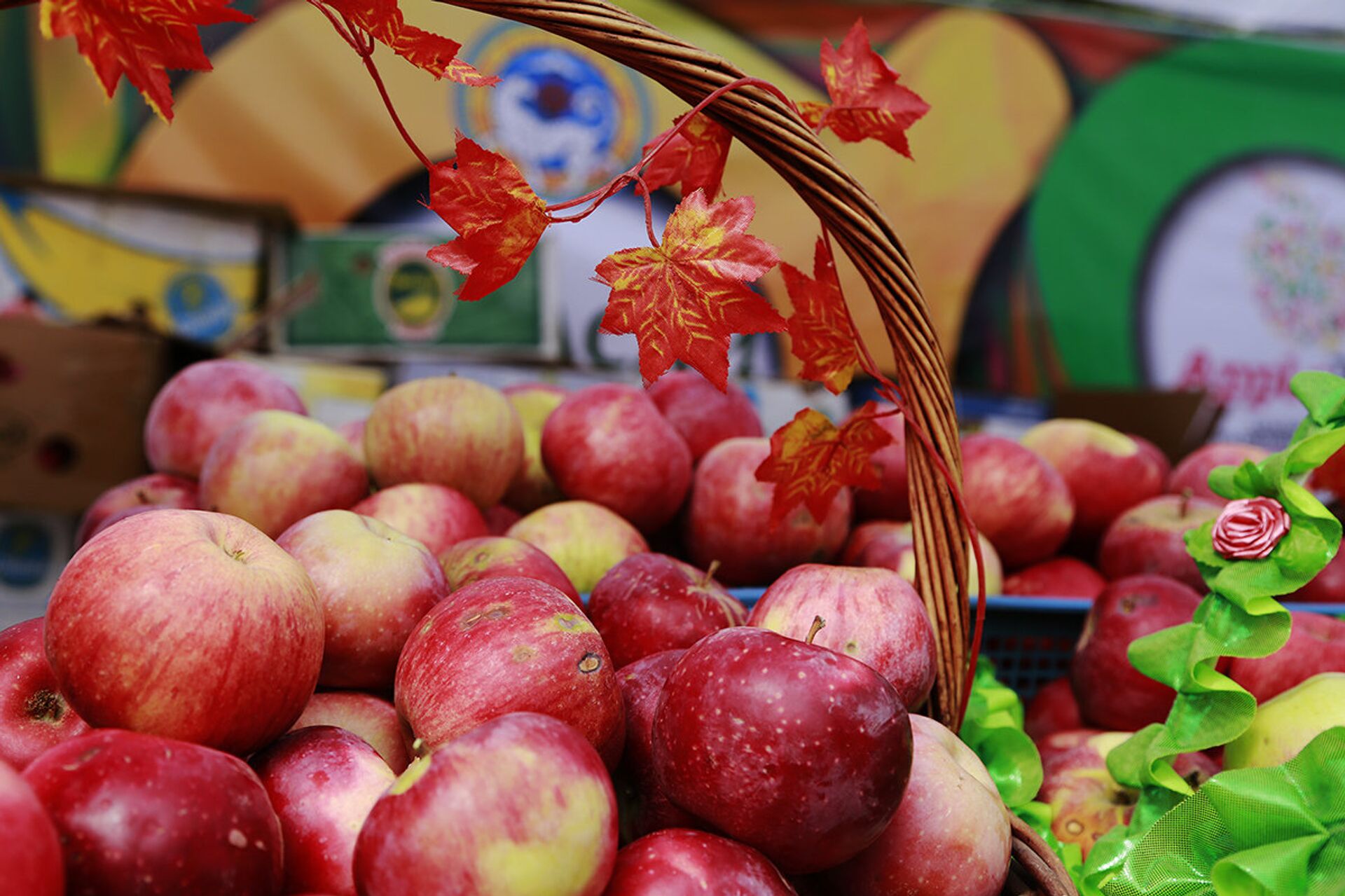 Яблоки Яблоки - Sputnik Казахстан, 1920, 21.10.2025