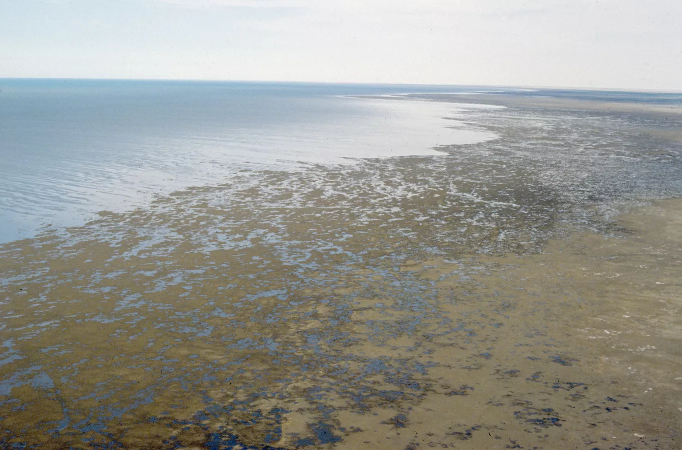 22 апреля в Астане соберутся главы государств Центральной Азии