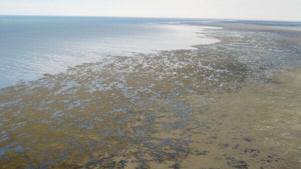 Берег Аральского моря - Sputnik Казахстан