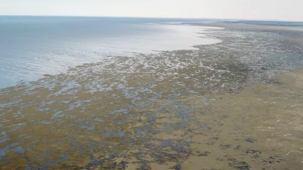 Берег Аральского моря - Sputnik Қазақстан