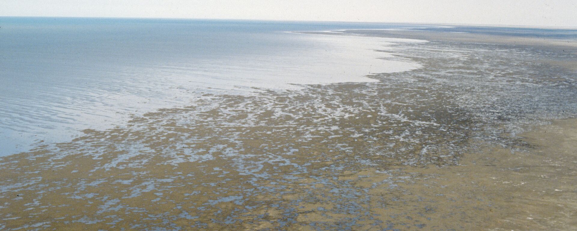 Берег Аральского моря Берег Аральского моря - Sputnik Казахстан, 1920, 24.06.2024