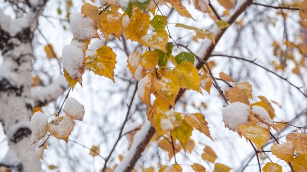 Архивное фото первого снега - Sputnik Казахстан