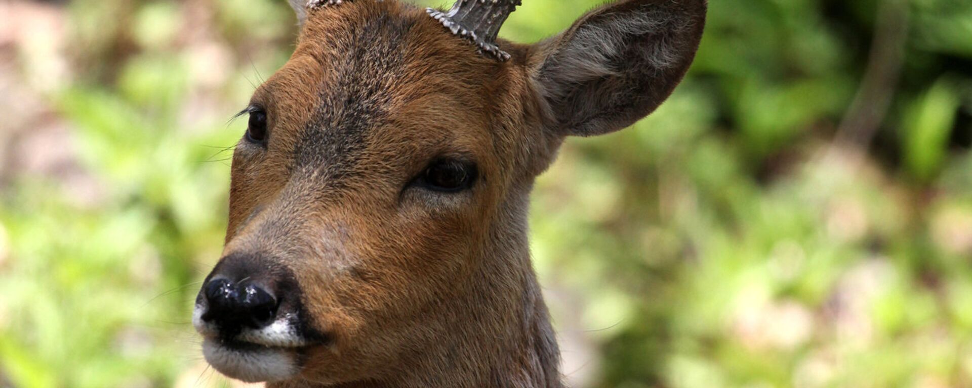 Елік - Sputnik Қазақстан, 1920, 10.02.2026