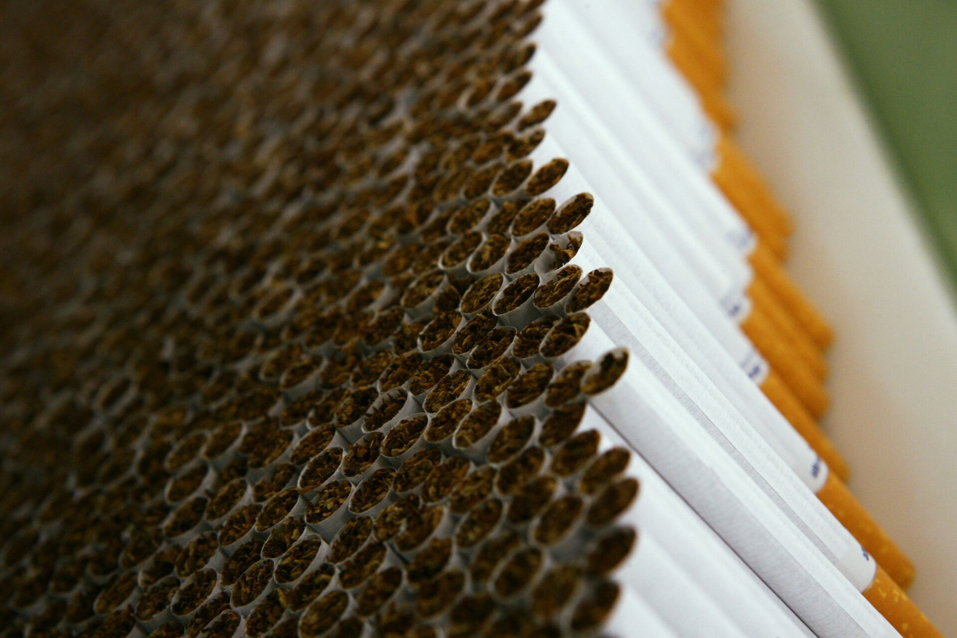 Сигареты - Sputnik Казахстан, 1920, 17.01.2026